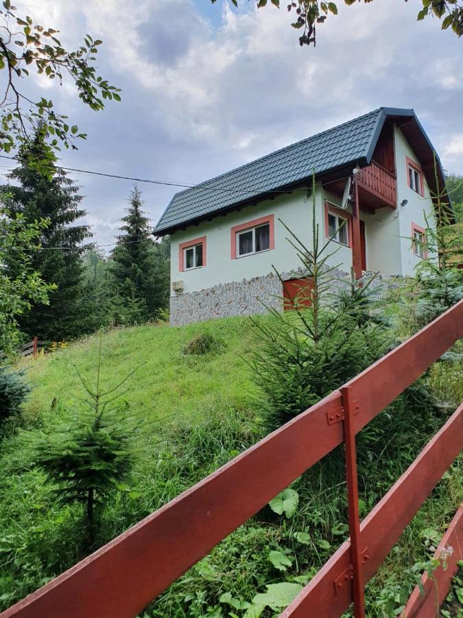 Вилла Casa Dor De Ea Дымбовичоара Экстерьер фото